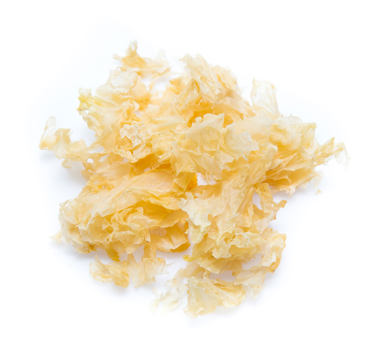 Tremella