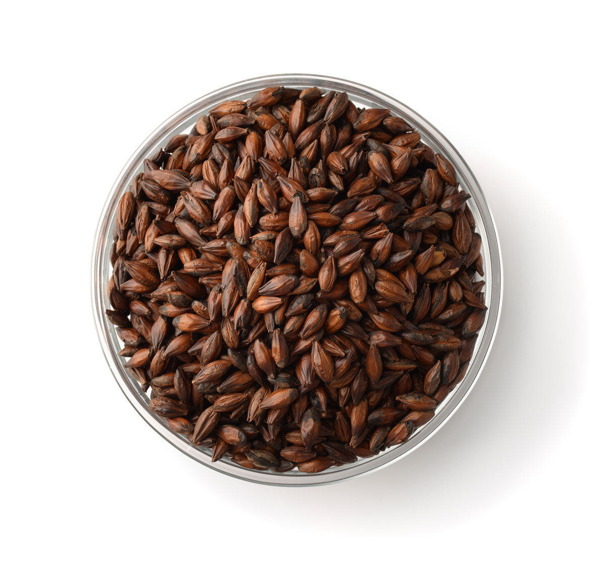 Barley